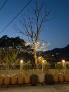 Top Dehradun