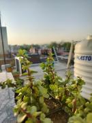 Top Mathura