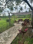 Nuna Bungalows