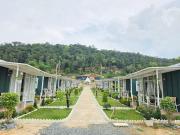 Green House 168
