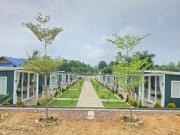 Green House 168