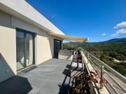 Top Pietrosella