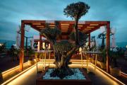 Top Mamaia Nord