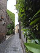 Top Viterbo