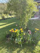 Top Lisieux