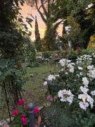 Top Bomarzo