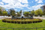 Top Heringsdorf Top Heringsdorf