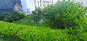 Top Alanya