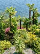 Top Brissago