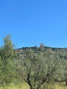 La Terrazza degli Ulivi - Cortona View