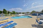 Top Rehoboth Beach