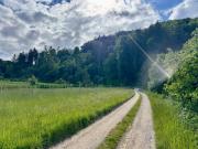 Top Radolfzell am Bodensee