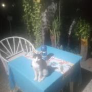 casa camping mr wilson