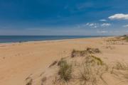 Top Virginia Beach