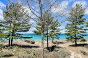 Top Glen Arbor