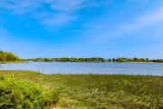 Top Wareham