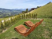 Top Westendorf