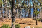Top Wellfleet