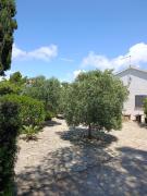 Top Porto Pino