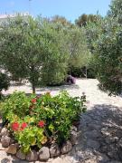 Top Porto Pino