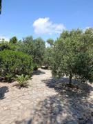 Top Porto Pino
