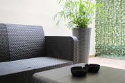 ARIS Central City Retreat