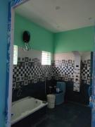 Blue spot manju groups