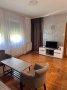 Top Surčin