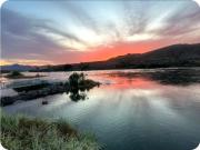 Top Bullhead City