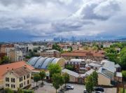 Top Houilles