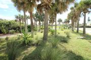 Top Daytona Beach Shores Top Daytona Beach Shores