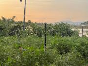 Top Ðông Mỹ (2)
