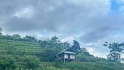 Song Ban Mountain Homestay