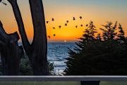 Top Moss Beach