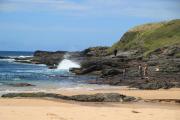 Top Kiama