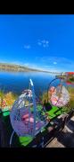 Top Puno