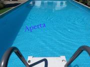 Top Poggiridenti