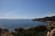 Top Capo Comino