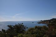 Top Capo Comino