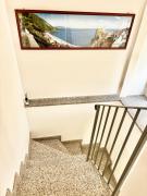 Top Scilla