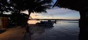 Top Banggai