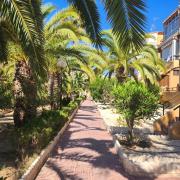Apartamento Paradise La Mata