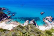 Top Capo Vaticano
