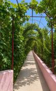 Top Argostoli