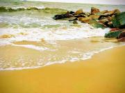Top Gdynia