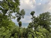 Organic Retreats