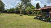Top Guarne