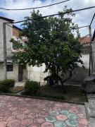 Top Tirana