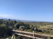 Top Capo Comino