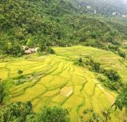 Top Làng Chiêu